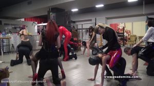 [Winston] Gea Domina: Italian Competition Ponyplay (2026) – Platinum Blonde – No Sign Up