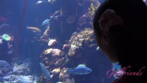 [ATK Girlfriends] Summer Renee – Norcal P9 (2026) – POV Scene Video – Full Scene