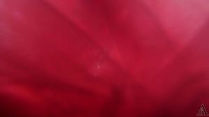 [Hardcore] AJ Fresh XXX – Autumn Chastity Fuckdoll 6 (2026) – Ladyboy Scene – Mobile Friendly