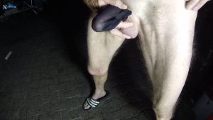 BimanHH – Durchs Nylonsöckchen gepisst (2026) – No Sign Up