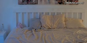 Uncensored HD Porn: Reallifecam – Adeline Suck Markus Cook Have Pussy Fingering And Sex 10.07.2026 (2026)