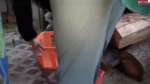 Stream Paarfetisch34 – NS beim Wäsche aufhängen MDH Clip Online